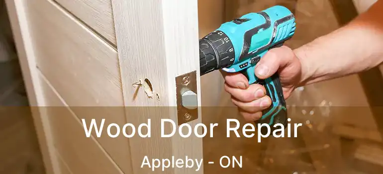  Wood Door Repair Appleby - ON