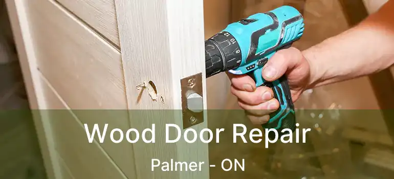  Wood Door Repair Palmer - ON